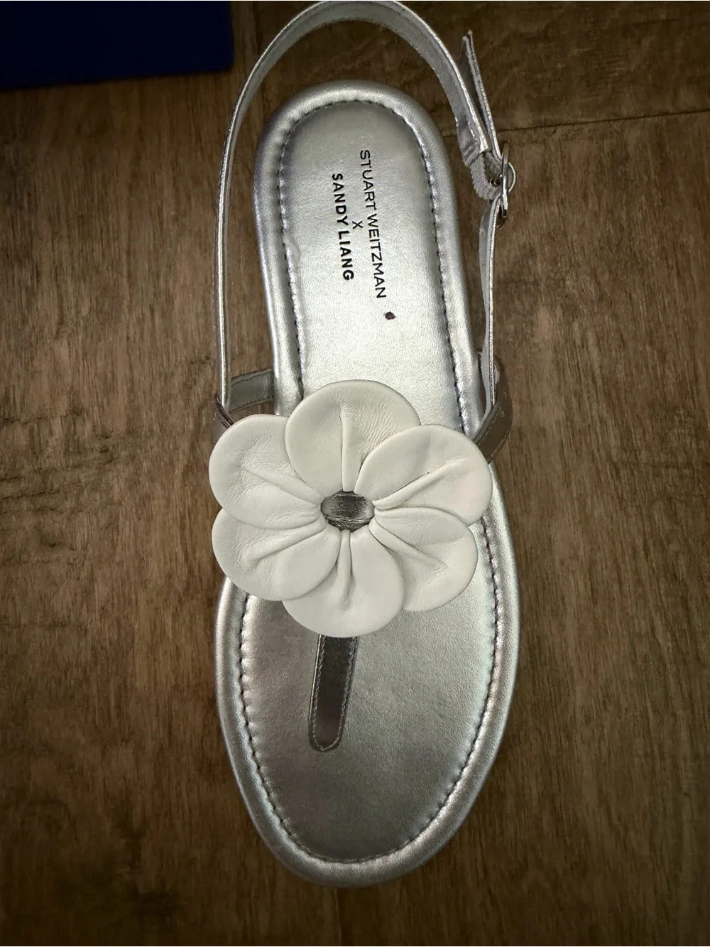 Stuart Weitzman and Sandy Liang  Floral Thong Sandals, 7.5, new in box, duster